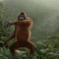 source.gif