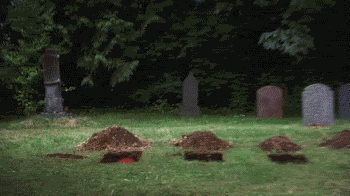 Dig Own Grave GIFs - Find & Share on GIPHY