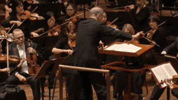 200.gif