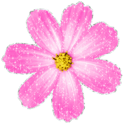 Spring Forever