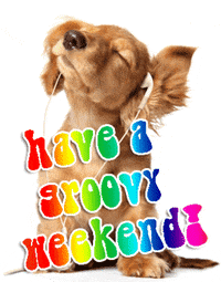 Have A Good Weekend GIFs - Find & Share on GIPHY