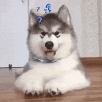200w.gif