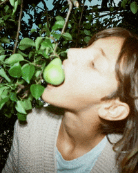 Nishika N8000 GIFs - Find & Share on GIPHY