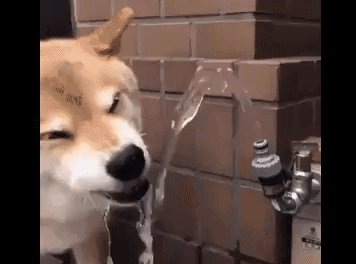 source.gif