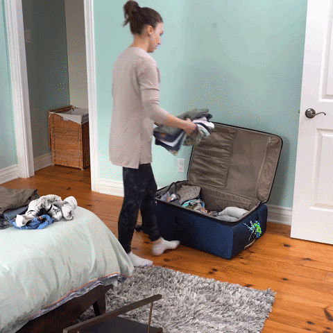 Packing For Vacation GIFs - Find & Share on GIPHY