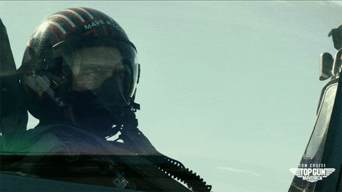 Goose And Maverick GIFs - Find & Share on GIPHY