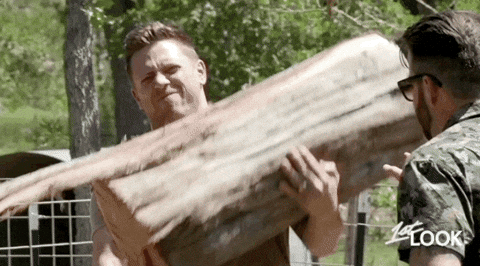 giphy.gif