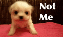 [Image: source.gif]