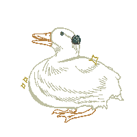 Baby Animals Wtf Sticker