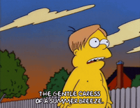 Season 6 Summer GIF by The Simpsons
