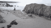 GIF by Travel Oregon