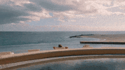 GIF by Switzerfilm
