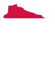 Voting Red Hawks Sticker by Ripon College