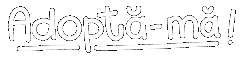 Adopta Sticker by Andreea Illustration