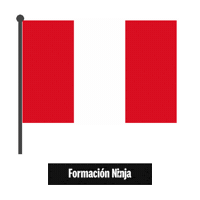 Peru Flag Sticker by Formación Ninja