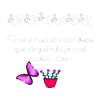 Frases Sticker