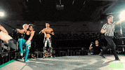 Wrestling GIF by SHWAperth