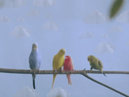 pell chirpin' GIF by Payday Records