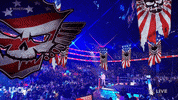 Wwe Wrestling GIF by USA Network