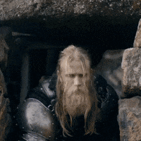 TheBeardStruggle brand beard viking tbs GIF