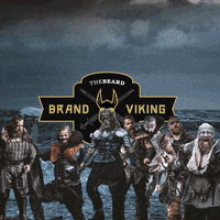 TheBeardStruggle brand beard viking tbs GIF