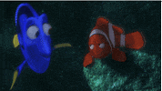 Happy Finding Nemo GIF by Disney Pixar