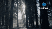 War Running GIF by MolaTV