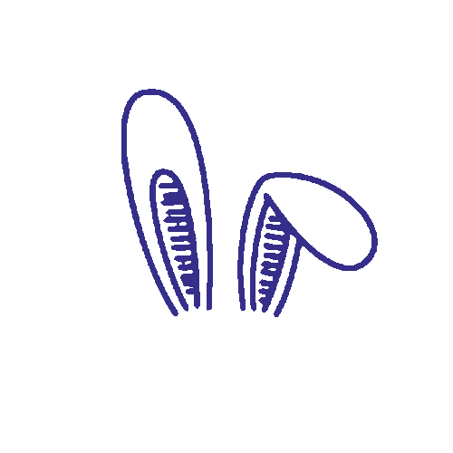 digaxisapp giphyupload camera sol foto Sticker