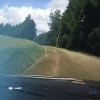 Rally Finland GIF by FIA World Rally Championship