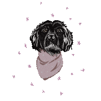 Black Dog Sticker