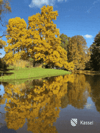 Mood Wow GIF by Stadt Kassel