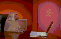 Show Let GIF