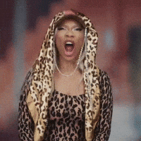 Tommie Lee Dog GIF