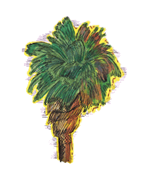 illustration summer Sticker by Aspire to Amble