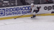 Isles GIF by New York Islanders