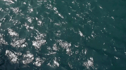 heatwave GIF by Amber Mark