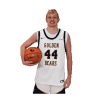 Basketball Sticker by WVU Tech Golden Bears