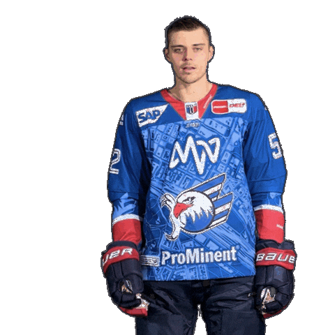 Nick Mattinen Sticker by Adler Mannheim