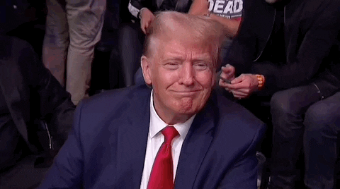 Donald Trump Sport GIF by UFC