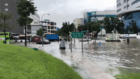 Heavy Rain Causes Flash Flooding in Eastern Singapore
