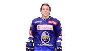 Hokej Sticker by Rytíři Kladno