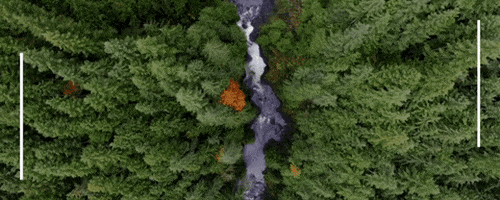 WiConnect giphyupload GIF