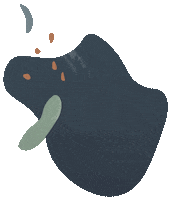 Wildhealthco Sticker by FBX Brand Studio