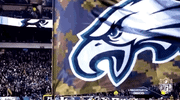 2018 nfl football GIF by NFL