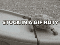 GIF by Juli