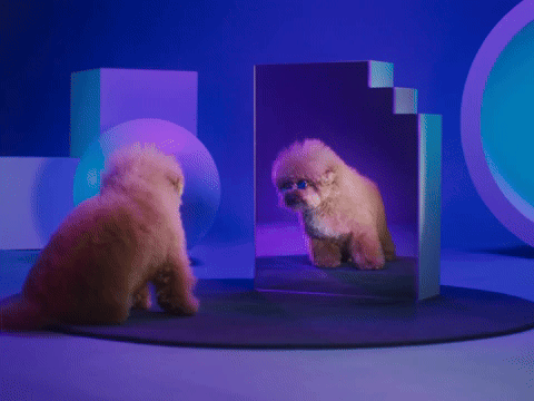 It's Absolutely Outrageous...