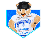 mexico Sticker by Yaquis de Obregón