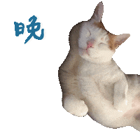 Sleep Sticker