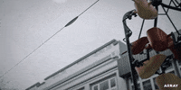 New Zealand Missy GIF by ARRAY