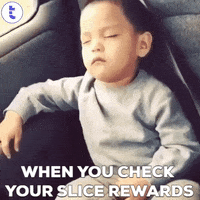 Meme Crypto GIF by tranche